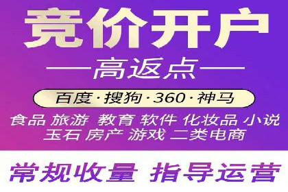 SEM搜索引擎优化策略解析与应用案例